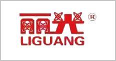 丽光